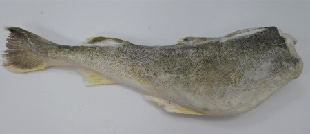 Навага мороженая